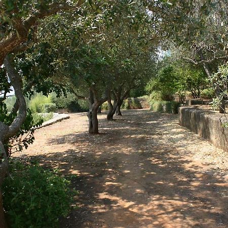 Appartamento in Villa fortunata terra Marina Serra Esterno foto