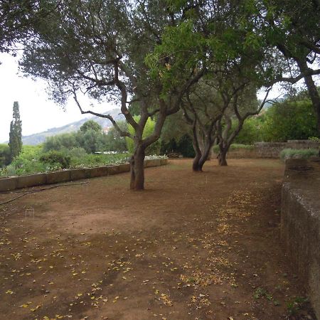 Appartamento in Villa fortunata terra Marina Serra Esterno foto