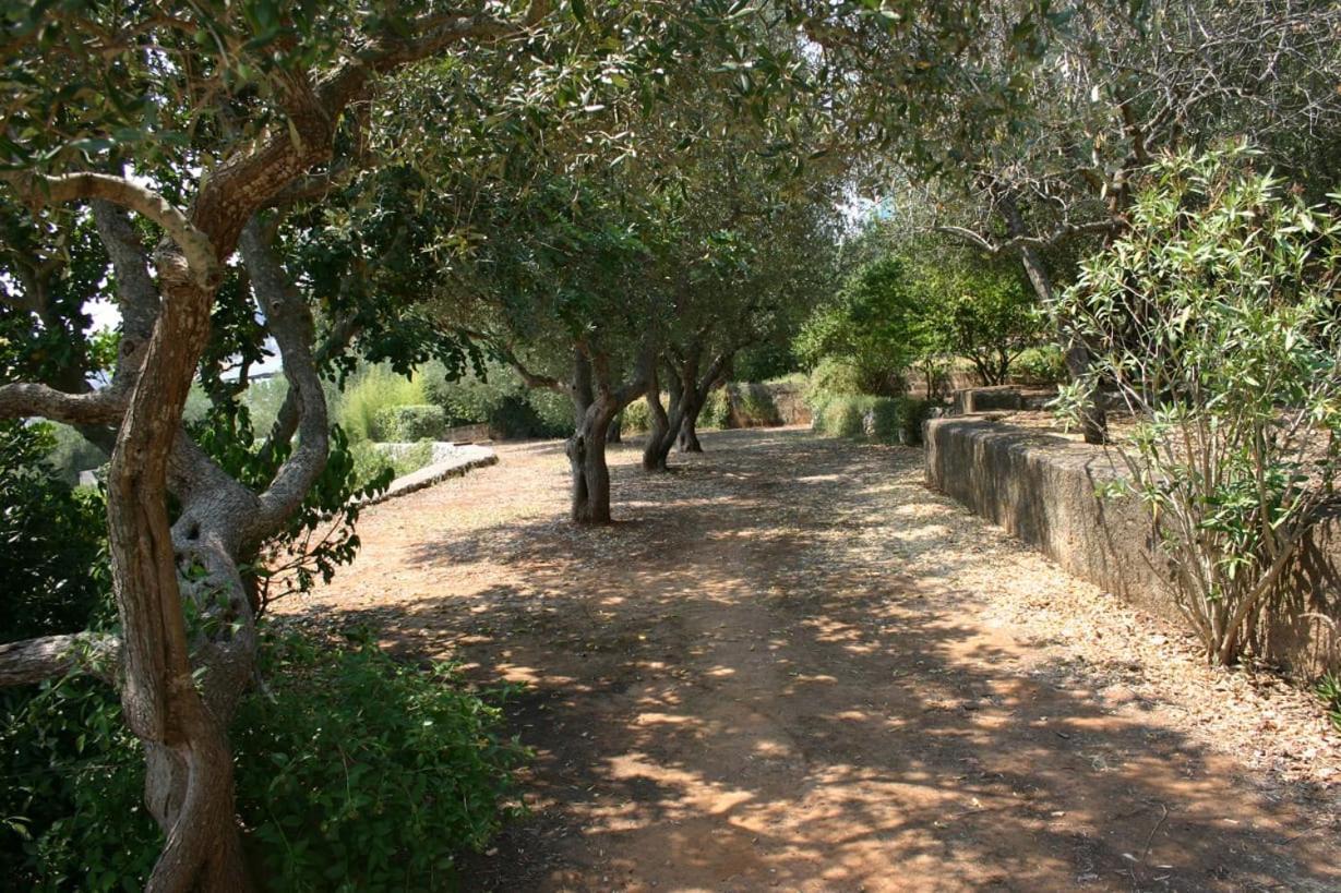 Appartamento in Villa fortunata terra Marina Serra Esterno foto