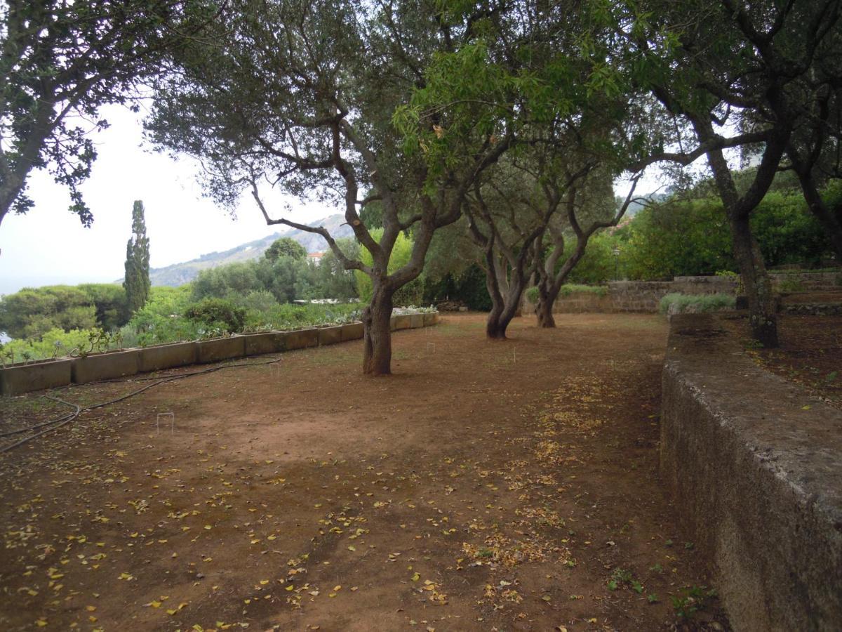Appartamento in Villa fortunata terra Marina Serra Esterno foto